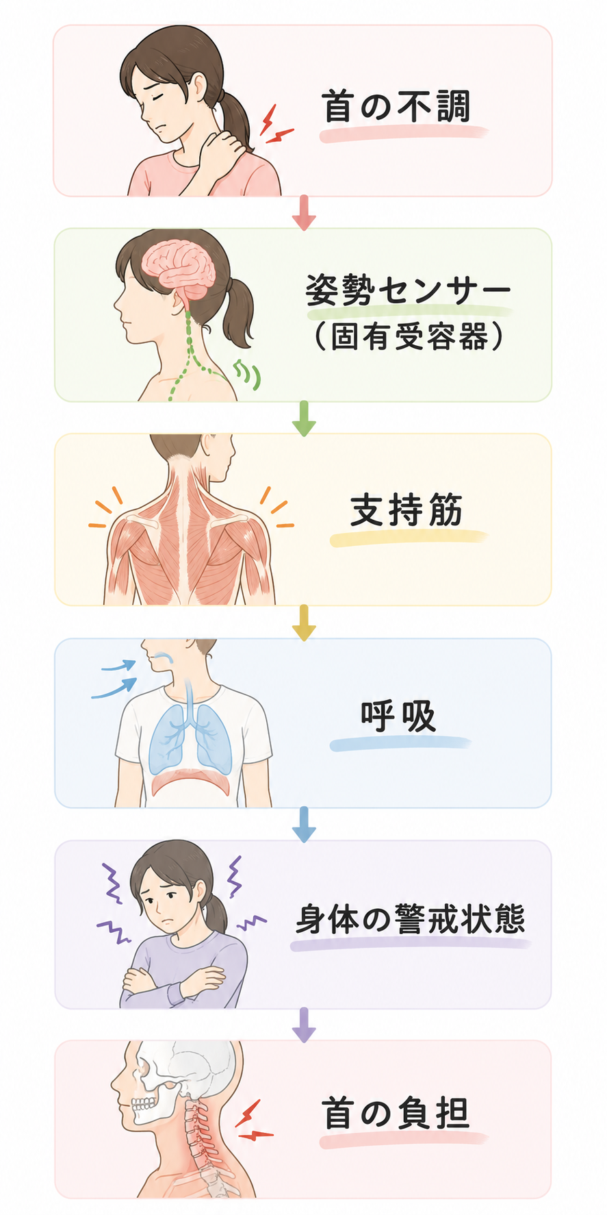 首の不調と姿勢センサー、支持筋、呼吸、身体の警戒状態の関係を示した図