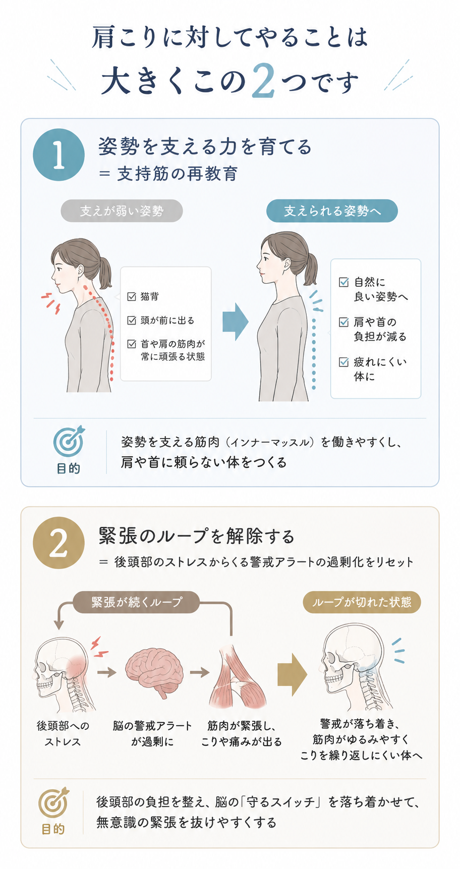肩こりに対して行う2つの施術方針として、姿勢を支える力の再教育と、後頭部ストレスによる緊張ループの解除を図解で説明した画像